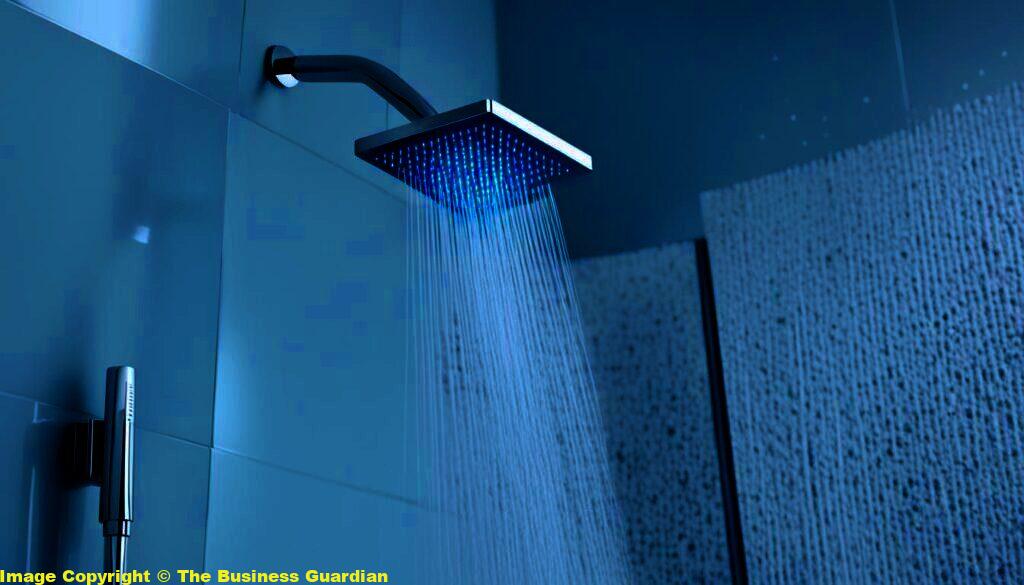 Berry0314 Shower Innovation